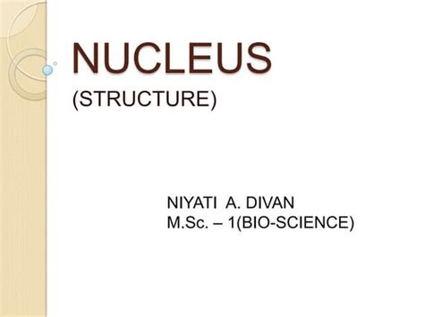 Ultra Structure Of Nucleus