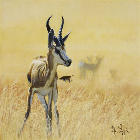 Stefano Zagaglia Wildlife Artist Wildlife Paintings Animal Paintings