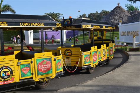 Bakgrundsbilder natur tåg transport fordon parkera linbana