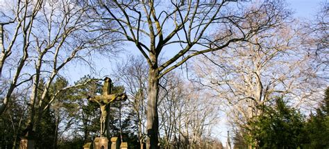 Cimitero Di Melaten Colonia Attivit Estive Il Meglio Del