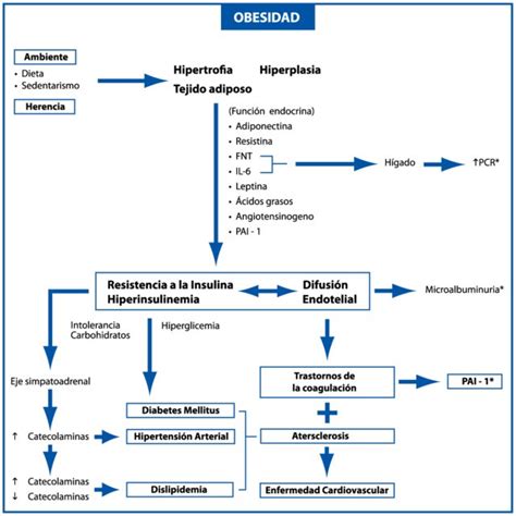 Pdf Síndrome Metabólico ¿un Elefante En Una Caja