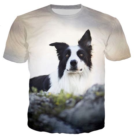 M skie krótkie r kawy Border Collie t shirty m c 13906374122 Allegro pl