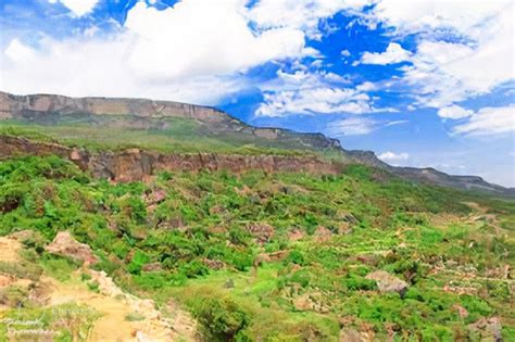 City Of Hargeisa On Twitter Rt Gotosomaliland The Daallo Forest