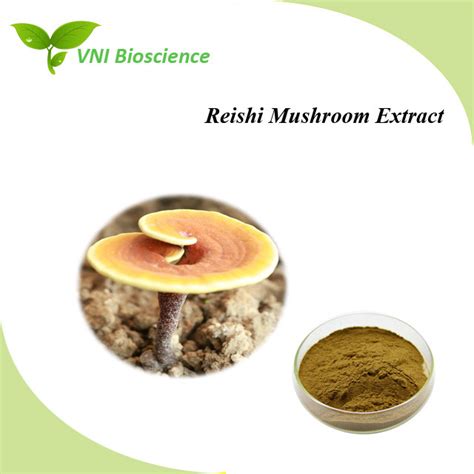 Pure Natural Fruiting Body Polysaccharides Reishi Mushroom Extract