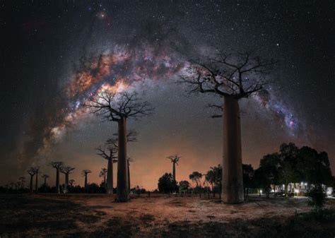 Milky Way Photographer Of The Year Crowned Australian Photography