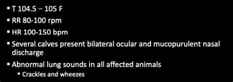 Practice Questions Respiratory Diseases In Cattle Flashcards Quizlet