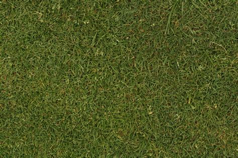 Grass Texture High Resolution