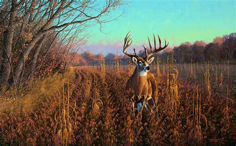 "Mel Johnson and the Beanfield Buck - Whitetail Deer" | Hunting painting, Hunting art, Wildlife art