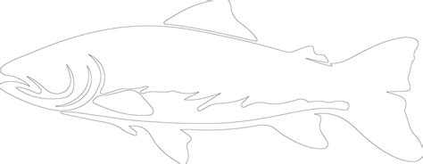 Lake Trout Outline Silhouette 38485382 Vector Art At Vecteezy