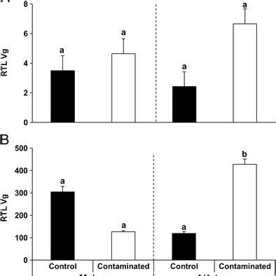 Relative Transcript Levels Rtl Of The Vg Gene In Hepatopancreas Of