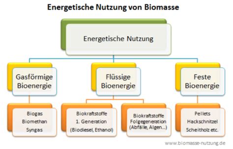 Biomasse Stoffliche Und Energetische Nutzung Von Biomasse