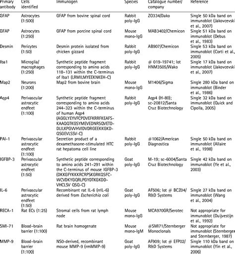 List Of Antibodies Used In The Present Study Download Table