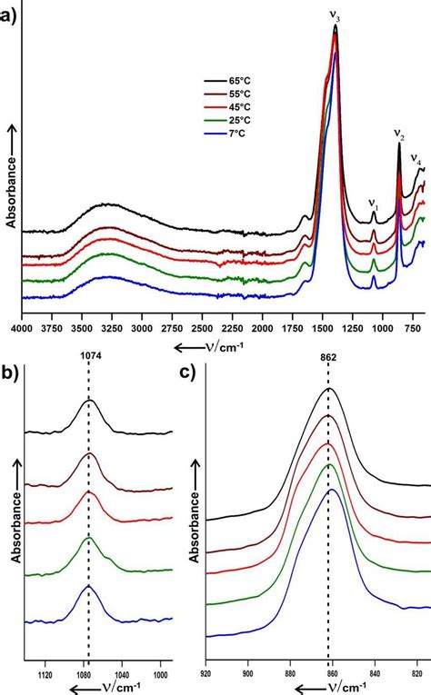 Figure S Atr Ftir Spectra Of Accs Obtained From Calcium Carbonate