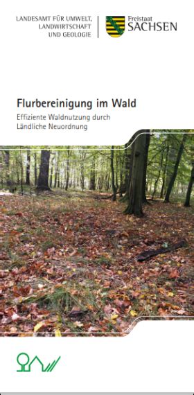 Flurbereinigung Im Wald Publikationen Sachsen De