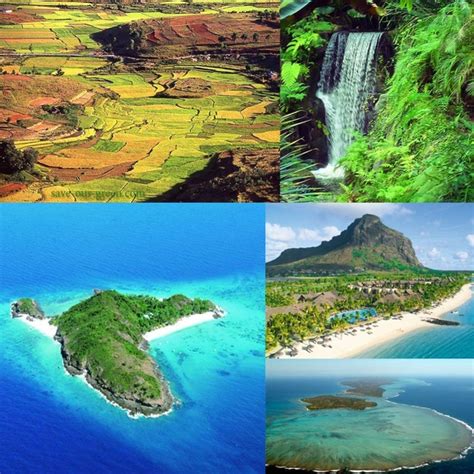 Madagascar Island - Save Our Green