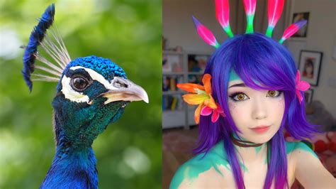 Emiru Elden Ring 🗡🛡 On Twitter This Is The Best Peacock Cosplay Ive Ever Seen Good Job