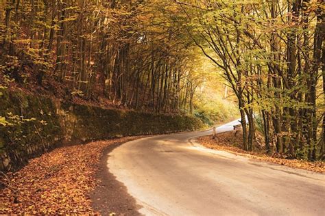 Linda Paisagem De Outono Ensolarada Estrada De Folhas Vermelhas