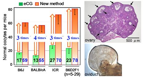 Brc Current Technology December 2015 Experimental Animal Division