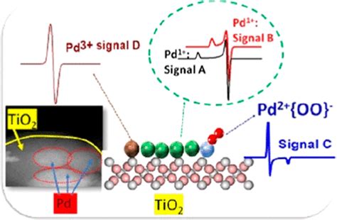 Multipotent Atomic Palladium Species Pd1 Pd2o2 And Pd3 Formed At