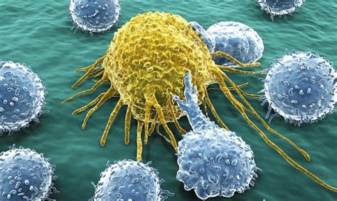 Cancer Medicine Breakthrough As Scientists Develop Tailored Treatments