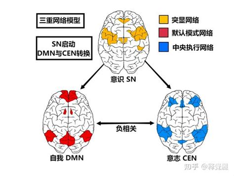 神经科学重新定义意志自我意识 知乎