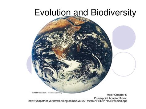 Ppt Evolution And Biodiversity Powerpoint Presentation Free Download