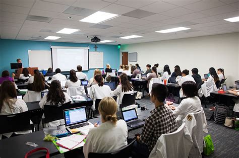 Pre Nursing Minor Concordia University Irvine