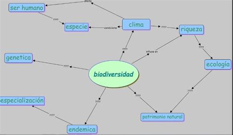 Top 74 Imagen Biodiversidad Mapa Mental Viaterramx