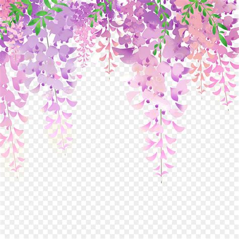 Wisteria Flowers PNG Transparent, Wisteria Flowers Vine Hand Painted ...