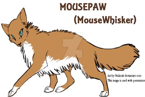 Mousepaw Aka Mousewhisker My Warrior Cats Oc By Say Im Insain On Deviantart