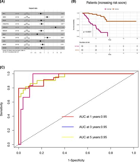 Hub Genes For The Osteosarcoma Prognostic Model A Multivariate Cox Download Scientific