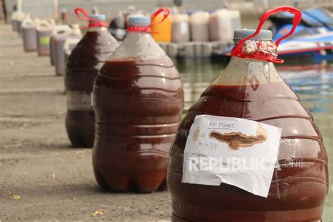 Jangan Buang Kulit Buah Sayur Kenali Segudang Manfaat Eco Enzyme