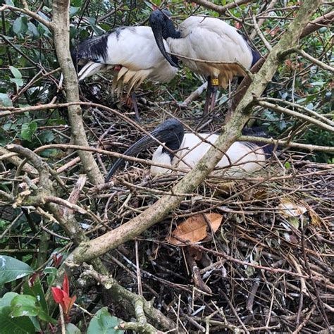 Bird World Zoo In Farnham