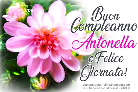 Cartoline Per Tutti I Gusti Cartolina Buon Compleanno Antonella E