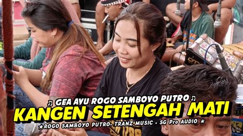 Lagu Jaranan Kangen Setengah Mati Voc Gea Ayu Rogo Samboyo Putro