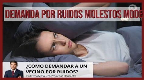 Modelo De Demanda Por Ruidos Molestos C Mo Solucionar El Problema