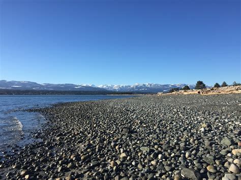 Visita Comox El Mejor Viaje A Comox Columbia Británica Del 2024