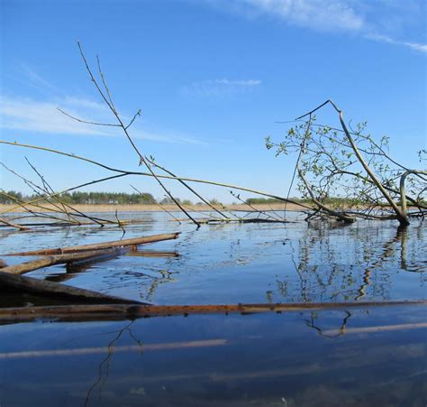 Фото Біосфера жива оболонка Землі