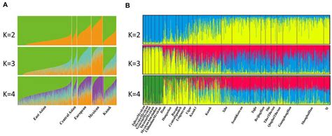 A Admixture Analysis Of Populations At K Using Admixture