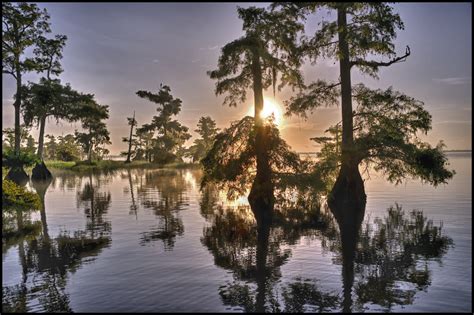 Blue Cypress Lake | Raymond Gehman Photography