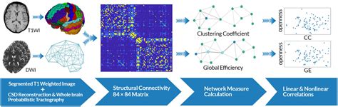 Frontiers Integration Of Structural Brain Networks Is Related To