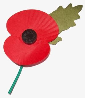 Poppy Flower Veterans Day - Remembrance Poppy Png , Free Transparent Clipart - ClipartKey