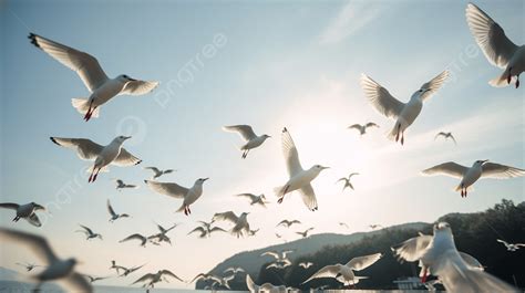 Bunch Of Seagulls Flying In The Sun Over The Water Background A Flock