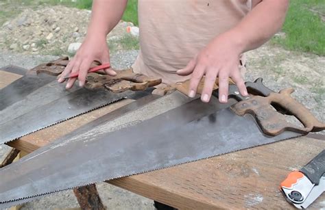 The 8 Best Hand Saws for Woodworkers & Homeowners