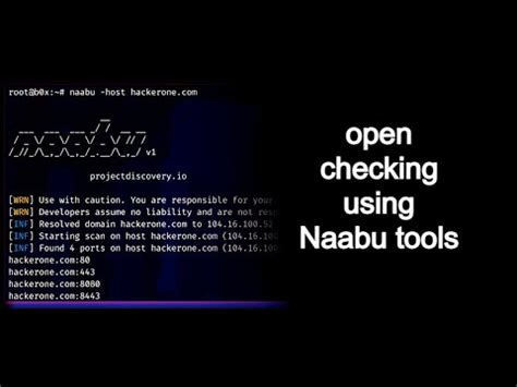 Scan All Port Subdomain Open Checking Using Naabu Tools Advance