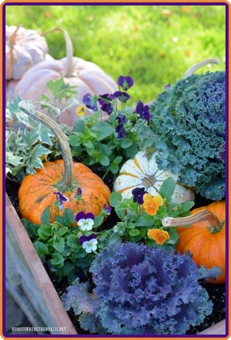 Fall Container Gardens Pumpkins Kale And More