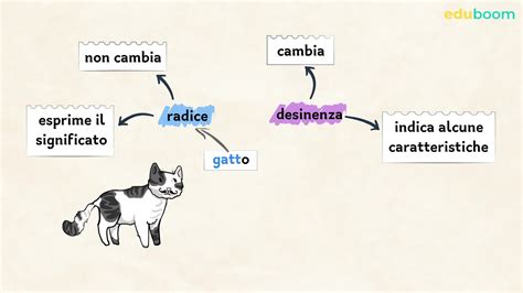 Radice E Desinenza Del Nome Lingua Italiana Quarta Primaria