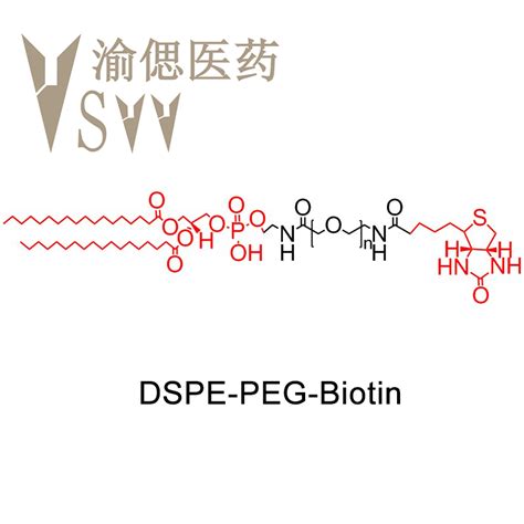 二硬脂酰基磷脂酰乙醇胺 聚乙二醇 生物素 385437 57 0 Chemicalbook