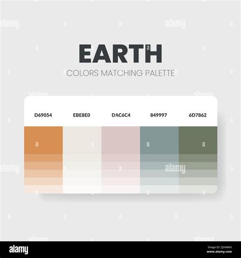 Les Palettes De Correspondance Des Couleurs Ou Les Combinaisons De