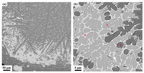 Typical Microstructures Of The Melting Zone Of Ti Alloy A Overall